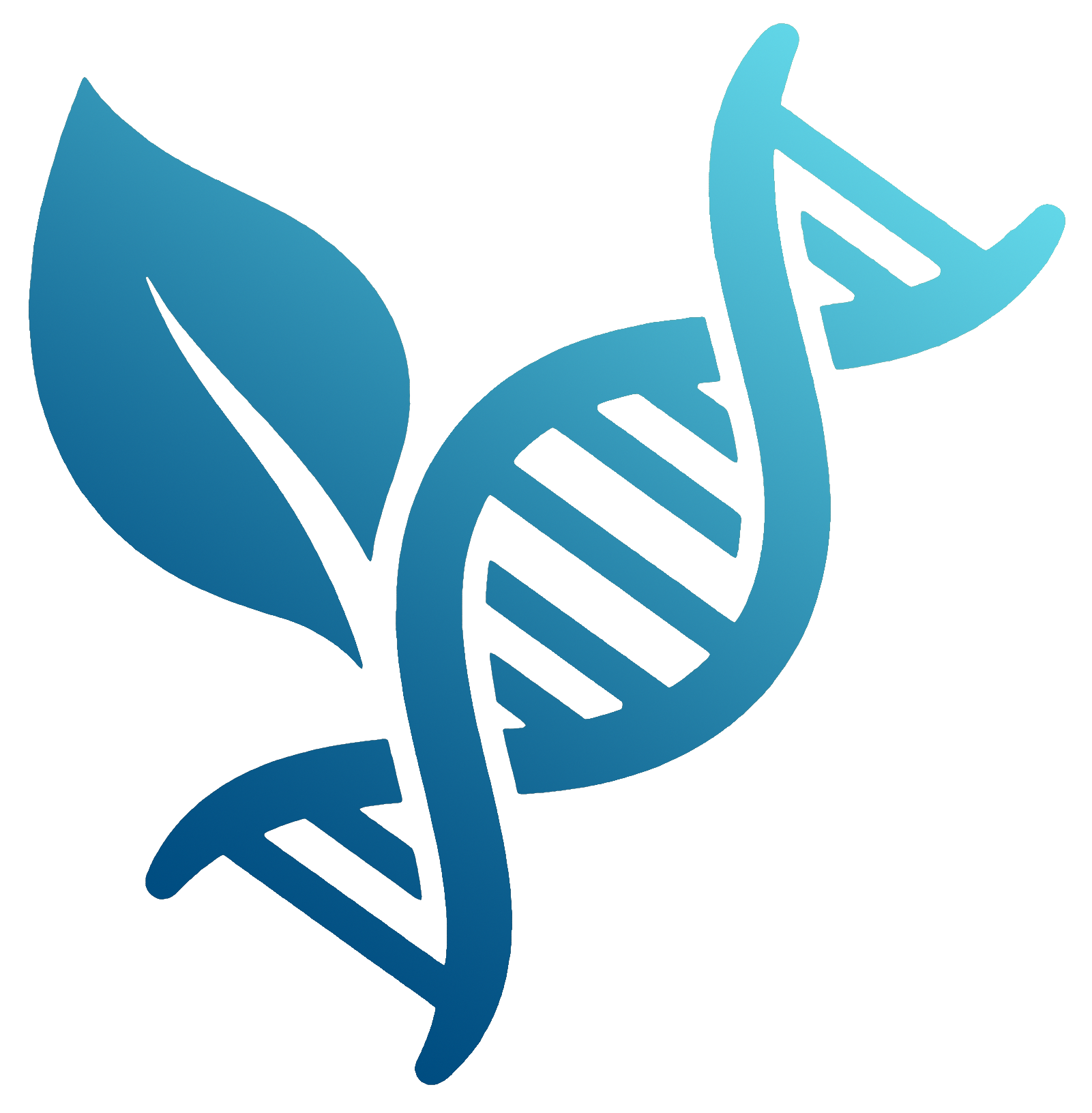 Slim Studio Community